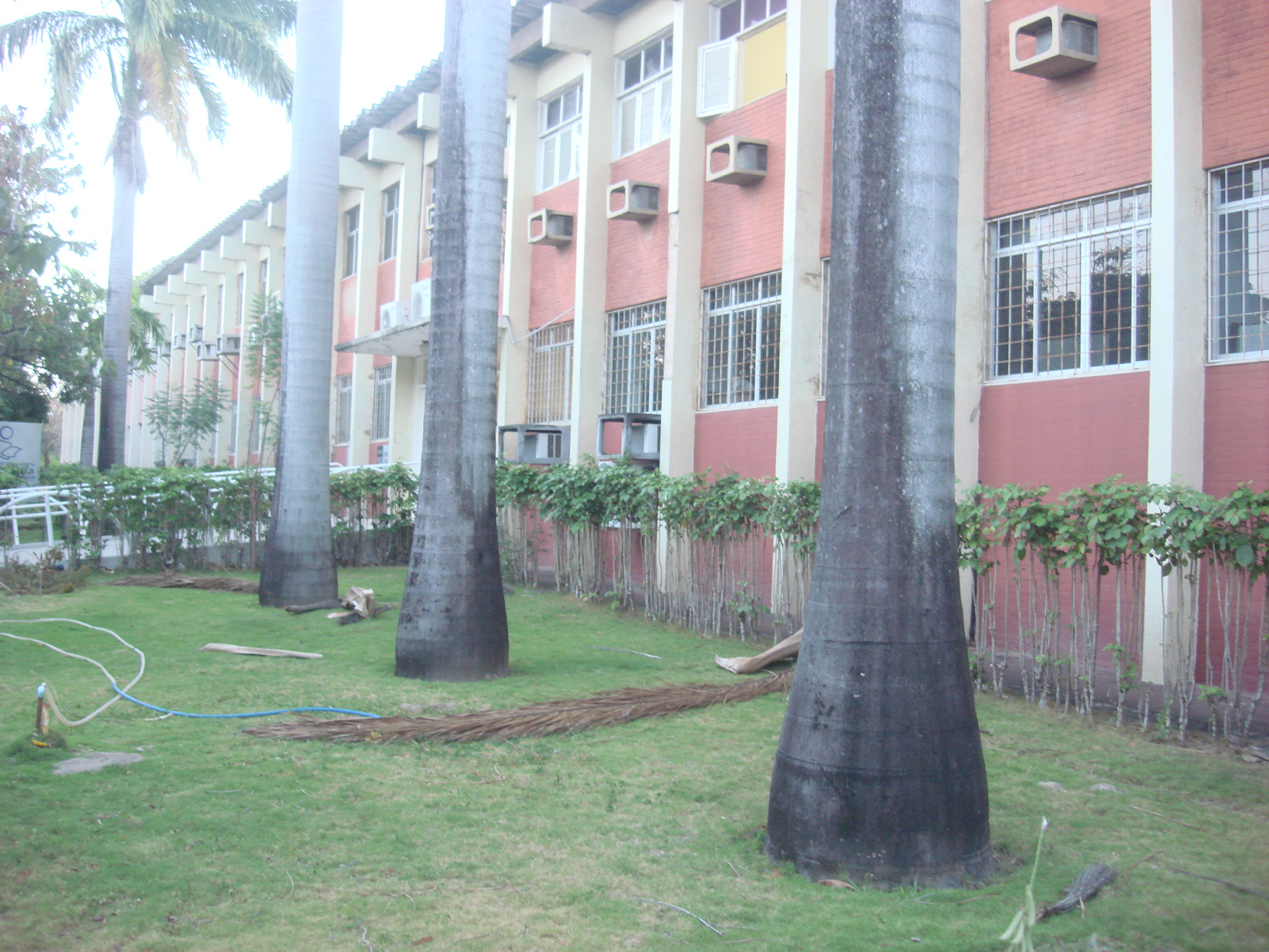 DSC09822